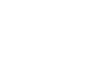 Smartegy