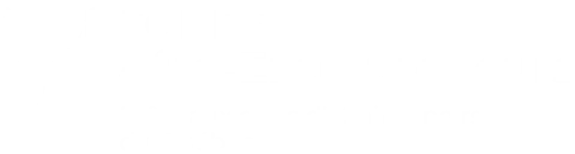 Fonds Afro-Entrepreneurs
